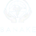 banakeholdings.co.za